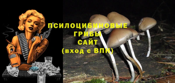 Альфа ПВП Переславль-Залесский