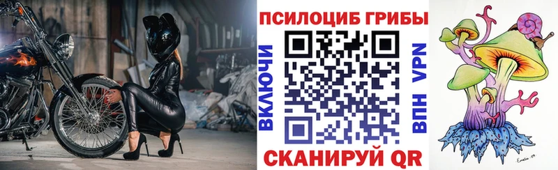 нарко площадка официальный сайт  продажа наркотиков  Кинель  Псилоцибиновые грибы мицелий 