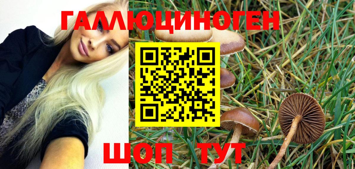 ЭКСТАЗИ  COCAIN  Кинель  МЕФ кристаллы  Гашиш  МАРИХУАНА  A PVP СК   Вход с VPN 