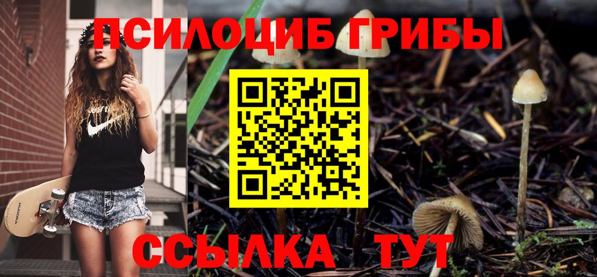 Галлюциногенные грибы ЛСД  Вход с VPN  Псилоцибиновые грибы Magic Shrooms  Кинель 